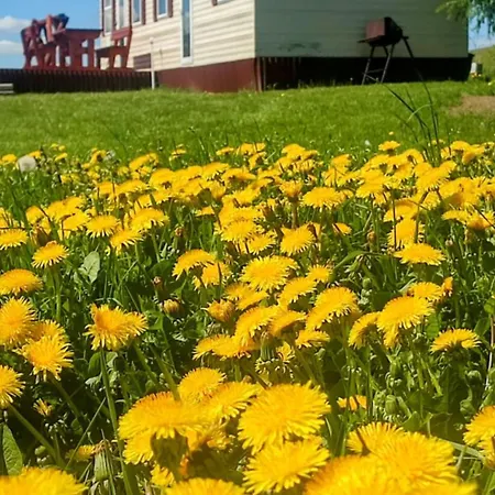 #mazuryvillage Prázdninový dům Wilkasy (Gizycko)